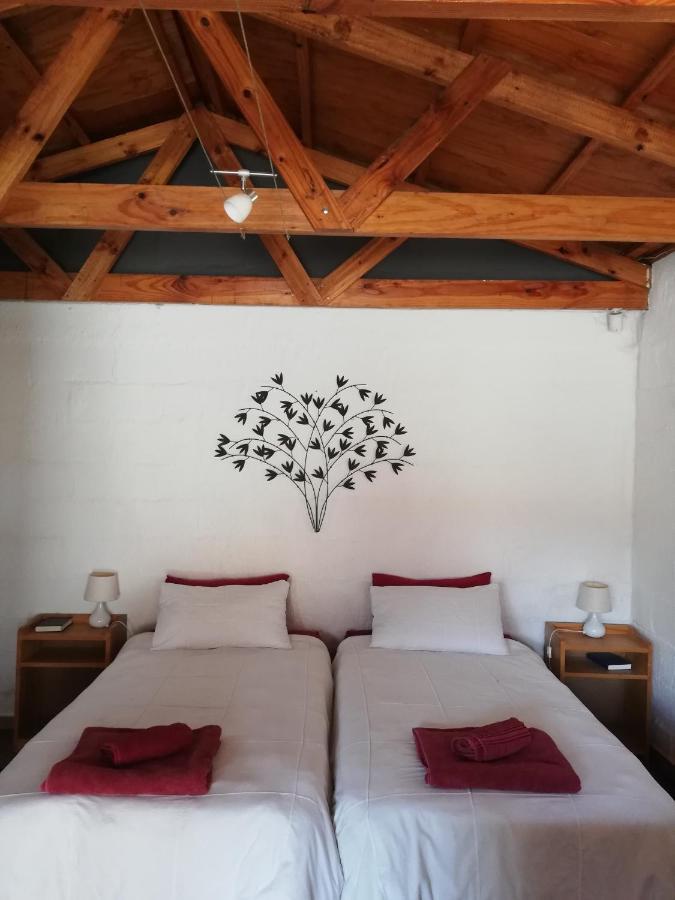 Appartamento Walvis Bay Backpackers & Self-Catering Esterno foto